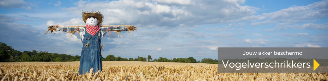 Vogelverschrikker