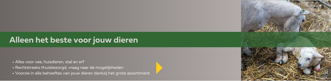Boerenwinkel