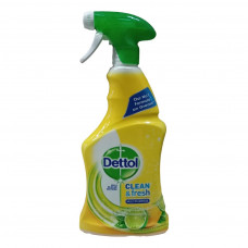 DETTOL ONTSMETTER SPRAY 500 ML