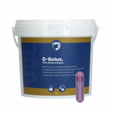 D-BOLUS (BICARBONAAT PIL) 24 ST