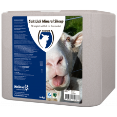 LIKSTEEN MINERAL SCHAAP 10 KG