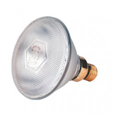WARMTELAMP PHILIPS 175W. WIT