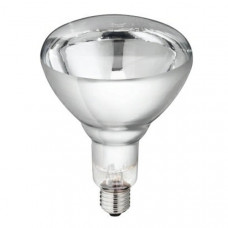 WARMTELAMP PHILIPS 250W. WIT