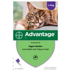 ADVANTAGE KAT 80 0.8 ML > 4 KG