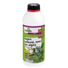 PATIO (1 LTR)