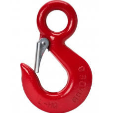 HIJSHAAK MET OOG + CLIP 1600KG