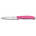 OFFICE-/GROENTEMES, VICTORINOX, SWISSCLASSIC, RVS/ROZE PP
