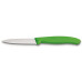 GROENTE-SCHILMES,VICTORINOX,SWISSCLASSIC,RVS/GROEN PP,KARTEL