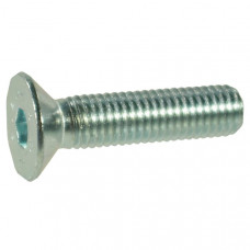 PL.V.INB.BOUT M10X16 10.9 VERZ