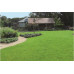 ADVANTA EXTENSO SCHADUWGAZON GRASZAAD 1,5 KG