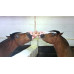 EXCELLENT HORSE SALT LICK HIMALAYA 2-3 KG (MET TOUW) 1 ST