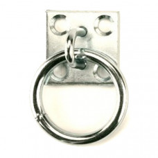 MUURPLAAT MET RING, 8MM, RVS (PER STUK GELABELD)