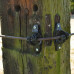 W-ISOLATOR SUPER ZWART (25)
