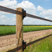 TURBOSTAR PAARDEN TUSSENISOLATOR (100)