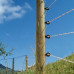 DUOPACK TURBOLINE CORD WIT 2X200M -25%